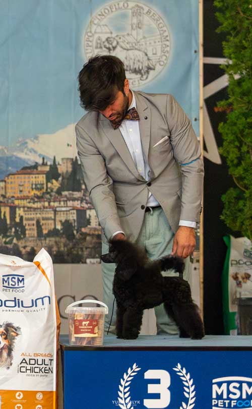 I Barboncini dei Pocket Coffee