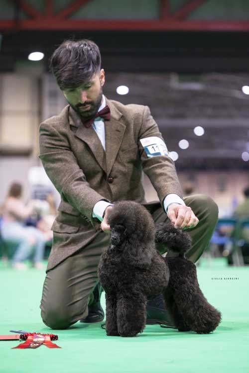 I Barboncini dei Pocket Coffee